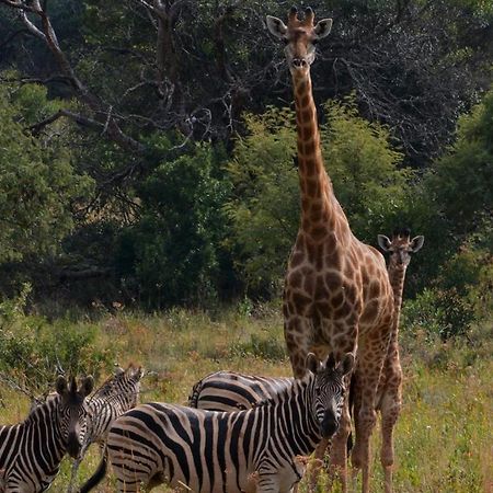 Hotel Intaba Thulile Maanhaarrand Exteriér fotografie