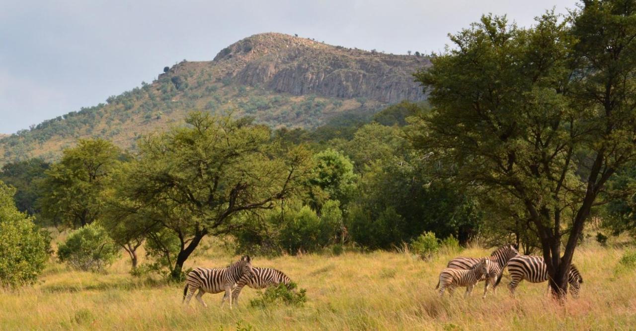 Hotel Intaba Thulile Maanhaarrand Exteriér fotografie