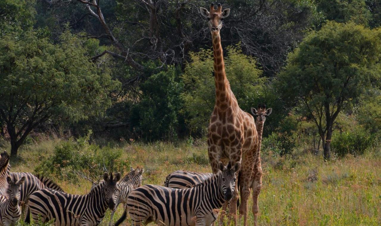 Hotel Intaba Thulile Maanhaarrand Exteriér fotografie